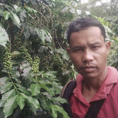 Indonesia Sumatra Organic Espresso