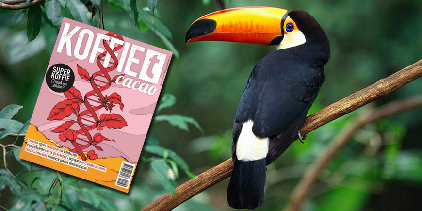 Panama Vogelvrije Koffie - Artikel koffieTcacao Magazine #32